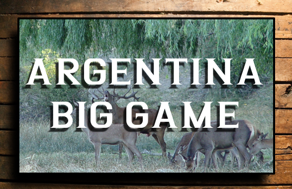 ARGENTINA BIG GAME BUTTON