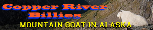 mountain goat, mountain goat hunting, mountain goat hunts, goat hunting
